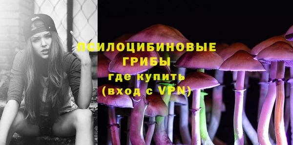 сатива Абдулино