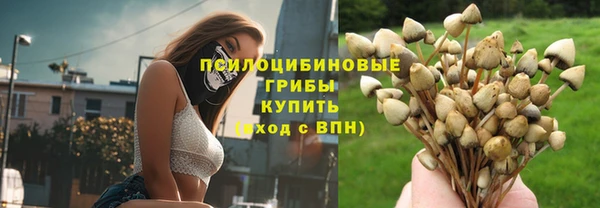 стафф Алзамай