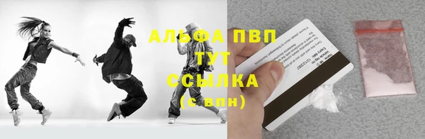 стафф Алзамай