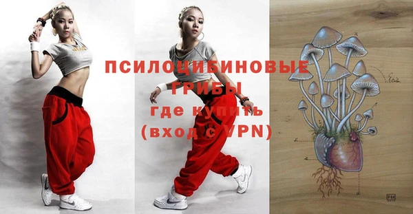 ешки Новодвинск