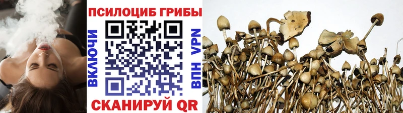 наркота  Иваново  omg как зайти  Псилоцибиновые грибы Cubensis 