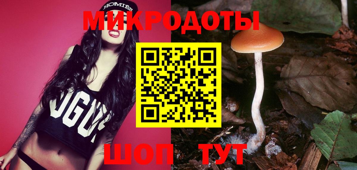 Галлюциногенные грибы прущие грибы Иваново